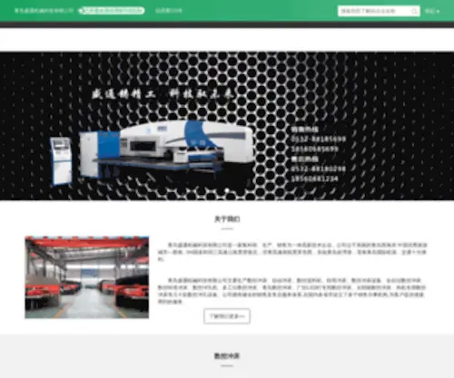 Shengtongtech.com(青岛盛通机械科技有限公司) Screenshot