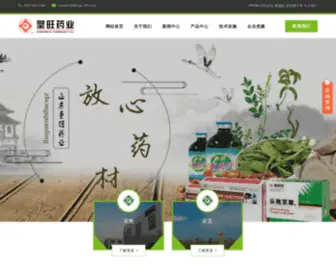 Shengwang.com(山东圣旺药业股份有限公司) Screenshot