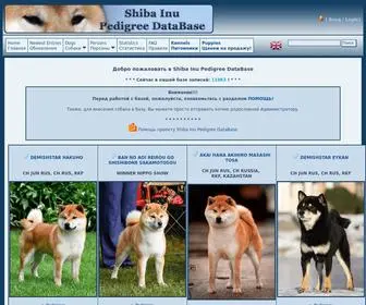 Shiba-Pedigree.ru(Shiba Inu Pedigree DataBase) Screenshot