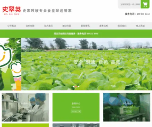 Shicuiying.com(宁波史家阿嫂食品有限公司) Screenshot