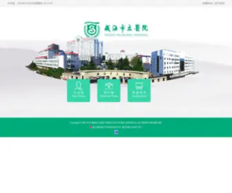 Shiliyiyuan.cn(威海市立医院) Screenshot