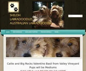 Shilohlabradoodles.com(Shiloh Labradoodles) Screenshot