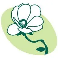 Shimada.tokyo Favicon
