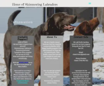 Shimmeringlabs.com(Shimmering Silver Labradors) Screenshot