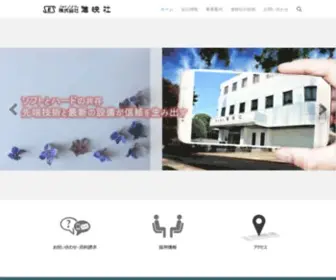 Shineisha.com(フォトマスクの進映社) Screenshot