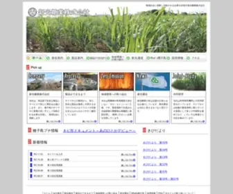 Shinko-Sugar.co.jp(新光糖業株式会社) Screenshot