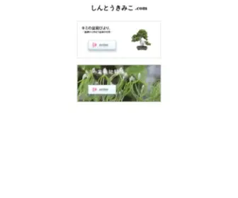 Shinto-Kimiko.com(Shinto Kimiko) Screenshot