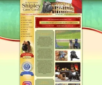 Shipleycanecorso.com(Cane Corso Puppies And Breeder) Screenshot