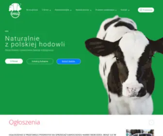 Shiuz.pl(SHiUZ Bydgoszcz) Screenshot