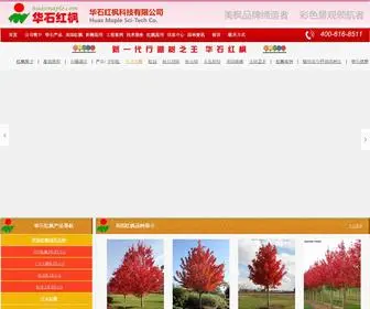 SHMMW.com(美国红枫最优品种) Screenshot