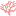 Shoko-Ladies.com Favicon
