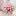 Shop-Staff-Wedding.com Favicon