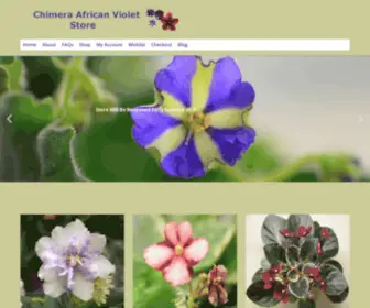 Shopafricanviolets.com(Shop African Violets) Screenshot