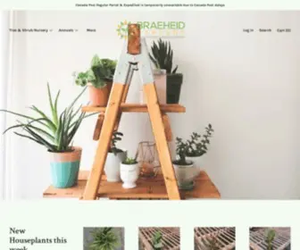 Shopbraeheid.com(Braeheid Gardens Ltd) Screenshot