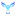 Shopicay.com Favicon