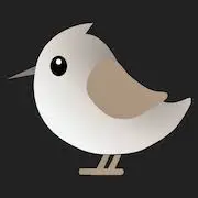 Shorebird.dev Favicon