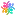 Showcase.fans Favicon