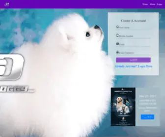 Showdoggy.com(Show Doggy) Screenshot