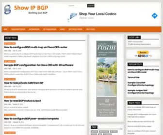 Showipbgp.com(Nothing but BGP) Screenshot