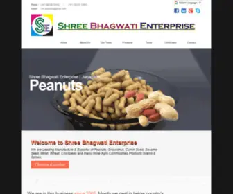 Shreebhagwatienterprise.com(Shree Bhagwati Enterprise) Screenshot