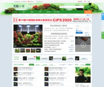 Shuicao.cc(水草论坛) Screenshot