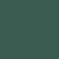 Shukujitsu0836.com Favicon