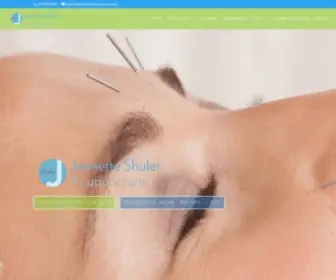 Shuleracupuncture.com(Lincoln Park) Screenshot