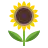 Shuttersandsunflowers.com Favicon