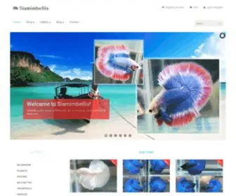 Siamimbellis.com(The best quality bettas in THAILAND) Screenshot