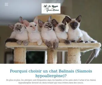 Siamois.ca(Chatterie Le Manoir des Siamois & Balinais) Screenshot