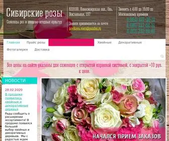 Sib-Roses.ru(Дешевые САЖЕНЦЫ РОЗ) Screenshot