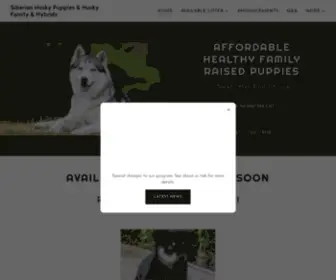 Siberianhuskypuppieslongisland.com(Family Raised & Home Bred Siberian Husky Puppies) Screenshot