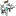 Sickntwisted.net Favicon