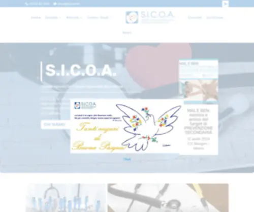 Sicoa.net(S.I.C.O.A) Screenshot