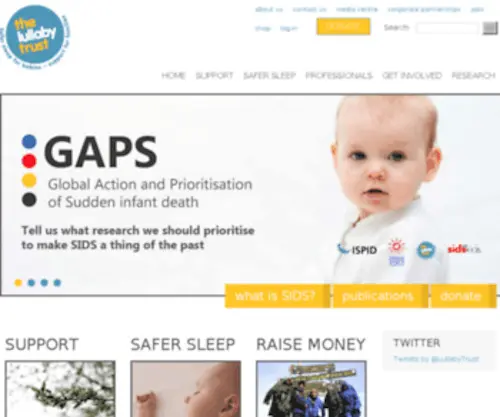 Sids.org.uk(FSID) Screenshot