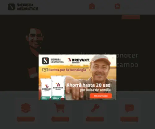 Siembraneumatica.com.ar(Siembra Neumática) Screenshot