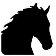 Sierrahorsewear.com Favicon