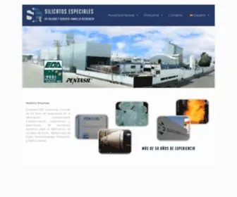 Silicatosespeciales.com.mx(De C.V) Screenshot