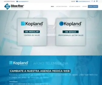 Siliconriver.cl(Silicon River) Screenshot