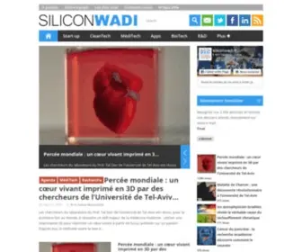 Siliconwadi.fr(Siliconwadi) Screenshot