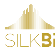 Silkbridgeinternational.com Favicon