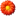 Silkflowers.co.za Favicon