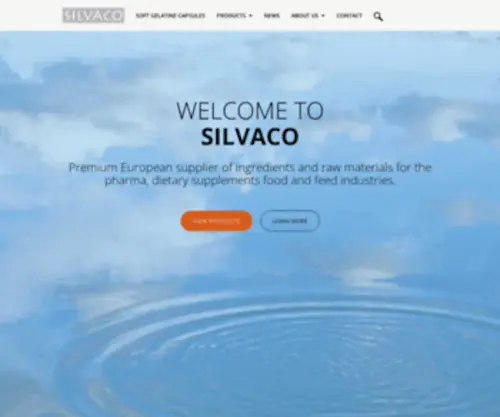 Silvaco.eu(Silvaco®) Screenshot