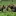 Silverbison.com Favicon