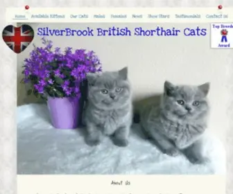 Silverbrookcattery.com(British Shorthair) Screenshot