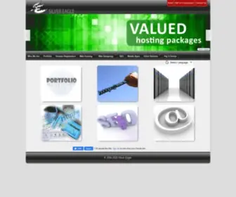 Silvereaglesolution.com(SILVER EAGLE) Screenshot