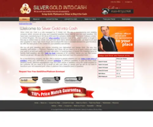 Silvergoldintocash.com(Silver Gold into Cash) Screenshot
