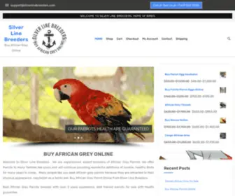 Silverlinebreeders.com(Buy African Grey Online) Screenshot