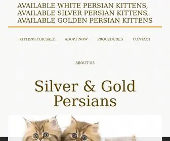 Silverngoldpersians.com(Persian Kittens for Sale in Dallas) Screenshot
