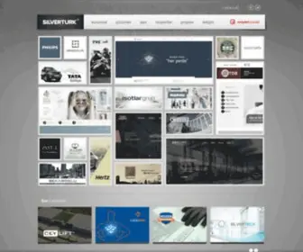 Silverturk.com.tr(Silverturk® İnternet Teknolojileri) Screenshot